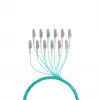 EFB Elektronik Cabo trunk U-DQ ZN BH OM3 12G 1x12 LC-LC 100m Dca LSZH - 100 m O8342S100OM3