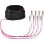 EFB Elektronik Cabo trunk U-DQ ZN BH OM4 8G 1x8 SC-SC 30m Dca LSZH O8321S30OM4