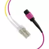Cabo trunk MPO-PLUS (F) para LC OM4 12 fibras tipo B LSZH Erika Violeta 2m MPOF12LCOM4-2