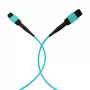 EFB Elektronik Cabo de patch MPO-PLUS fêmea para MPO-PLUS fêmea OM3 12 fibras tipo B LSZH Aqua, 10 m MPOF12MPOFOM3-10
