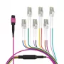 Cabo trunk MPO-PLUS (F) para LC, OM4, 12 fibras, Tipo B, LSZH, violeta erika, 1 m MPOF12LCOM4-1