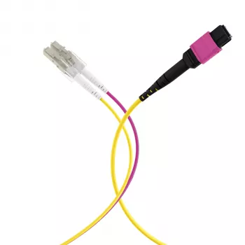 Cabo trunk MPO-PLUS (F) para LC OM4 12 fibras Tipo B LSZH violeta erika 10 m MPOF12LCOM4-10