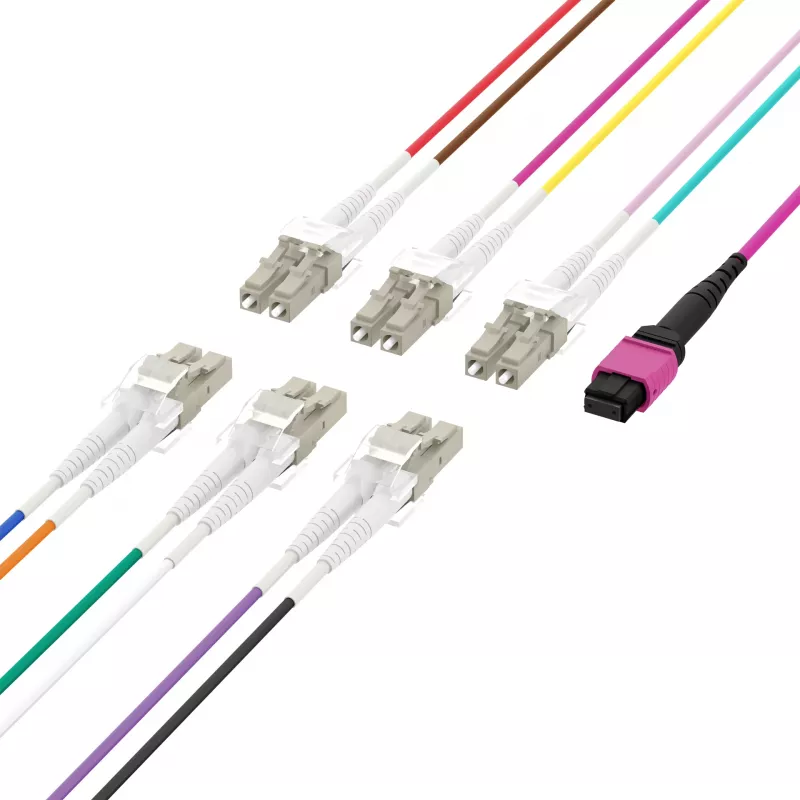 Cabo trunk MPO-PLUS (F) para LC OM4 12 fibras Tipo B LSZH violeta erika 10 m MPOF12LCOM4-10