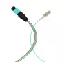 Cabo fanout MPO-PLUS (M) para LC OM3 12 fibras tipo B LSZH aqua 0,4 m MPOM12LCOM3-0,4