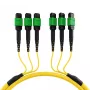Cabo patch MTP APC OS2 monomodo 48 fibras EFB MTPF48MTPFOS2-25-A, 25 m, amarelo
