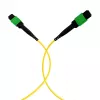 Cabo patch MTP APC OS2 monomodo 48 fibras EFB MTPF48MTPFOS2-25-A, 25 m, amarelo