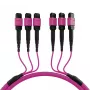 Cabo patch matriz MTP-F/MTP-F 48 fibras OM4 EFB Elektronik, LSZH Erika violeta, código A, 25 m MTPF48MTPFOM4-25-A