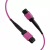 Cabo patch matriz MTP-F/MTP-F 48 fibras OM4 EFB Elektronik, LSZH Erika violeta, código A, 25 m MTPF48MTPFOM4-25-A