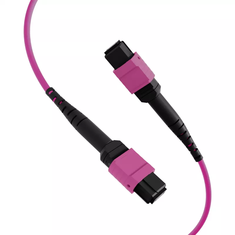 Cabo patch matriz MTP-F/MTP-F 48 fibras OM4 EFB Elektronik, LSZH Erika violeta, código A, 25 m MTPF48MTPFOM4-25-A