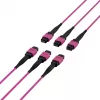 Cabo patch matriz MTP-F/MTP-F 48 fibras OM4 EFB Elektronik, LSZH Erika violeta, código A, 25 m MTPF48MTPFOM4-25-A