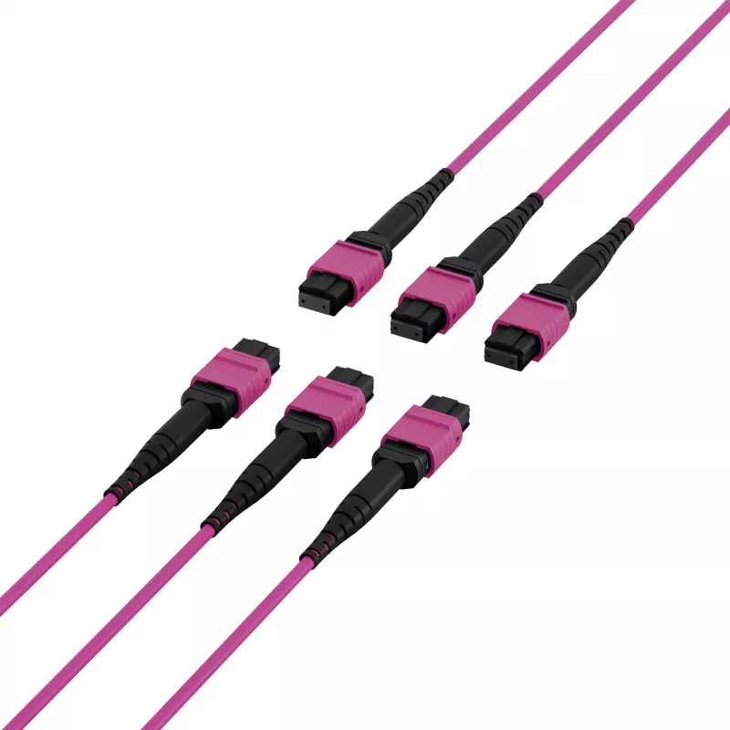 Cabo patch matriz MTP-F/MTP-F 48 fibras OM4 EFB Elektronik, LSZH Erika violeta, código A, 25 m MTPF48MTPFOM4-25-A