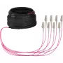 Cabo trunk U-DQ ZN BH OM4 8G 1x8 LC-LC EFB Elektronik 10 m Dca LSZH O8322S10OM4