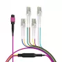 EFB Elektronik Cabo trunk MPO-PLUS(F)-LC OM4 8 fibras Tipo B LSZH Violeta urze 2m MPOF08LCOM4-2