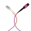 EFB Elektronik Cabo trunk MPO-PLUS(F)-LC OM4 8 fibras Tipo B LSZH Violeta urze 2m MPOF08LCOM4-2