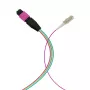 Cabo fanout EFB Elektronik MPO-PLUS (M)-LC OM4 12 fibras tipo B LSZH violeta erika 1 m MPOM12LCOM4-1