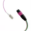 Cabo fanout EFB Elektronik MPO-PLUS (M)-LC OM4 12 fibras tipo B LSZH violeta erika 1 m MPOM12LCOM4-1