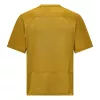 T-shirt desportiva de secagem rápida Salewa Pedroc Dry Hybrid homem - Olive Oil, tamanho L