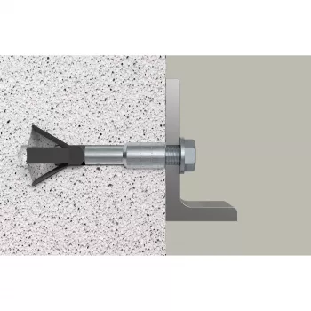 Conjunto de buchas para betão celular Fischer 522835 FPX M10 I K NV