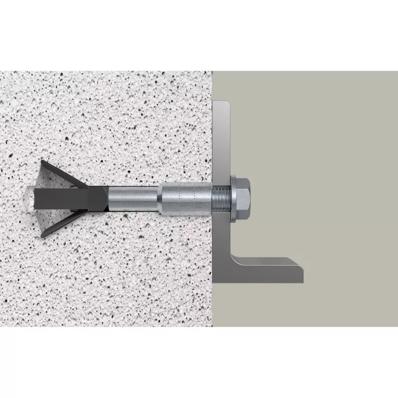 Conjunto de buchas para betão celular Fischer 522835 FPX M10 I K NV