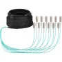 Cabo trunk EFB Elektronik U-DQ ZN BH OM3 12G 1x12 SC-SC 30 m Dca LSZH O8341S30OM3