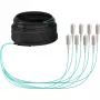 Cabo trunk EFB Elektronik U-DQ ZN BH OM3 8G 1x8 SC-SC 30 m Dca LSZH - 30 m O8321S30OM3