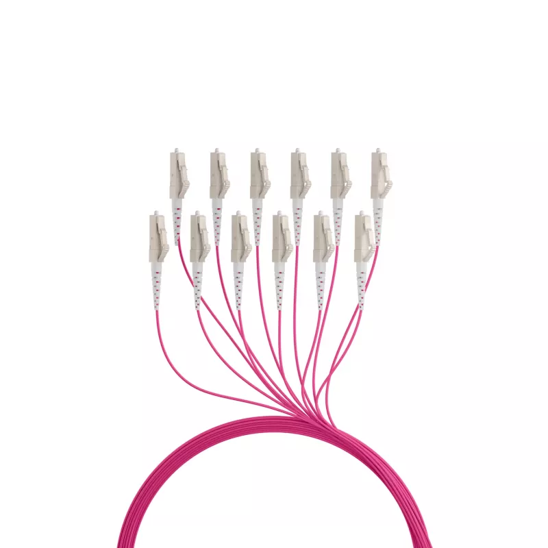 Cabo trunk EFB Elektronik U-DQ ZN BH OM4 12G 1x12 LC-LC 70 m Dca LSZH O8342S70OM4