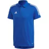Polo adidas Condivo 20 homem Team Royal Blue/White ED9237 tamanho S