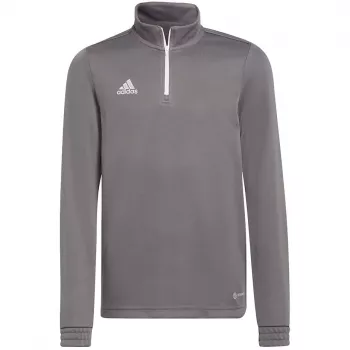 Sweatshirt de treino adidas Entrada 22 criança cinzento 116 cm H57549