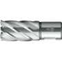 BDS broca de núcleo HSS 14 mm x 30 mm haste Weldon KBK-014