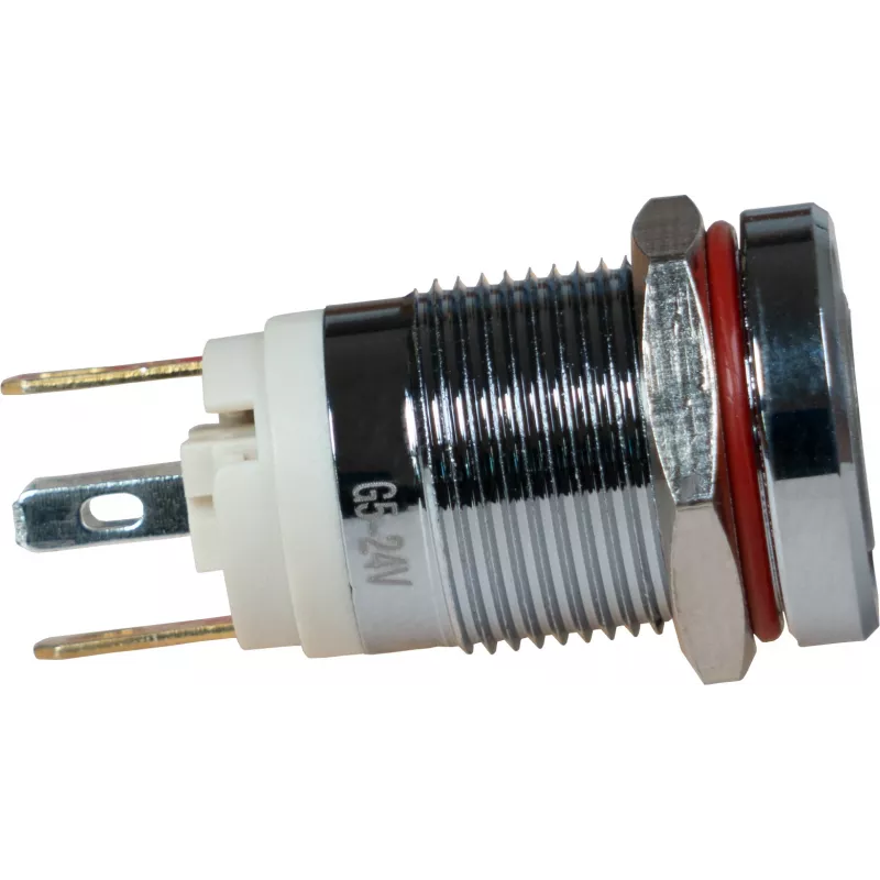 JOY-IT Button12E-01 Interruptor de pressão com retenção antivandalismo, verde, 12 mm, IK10, IP67