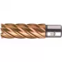 BDS HSS VarioPLUS 16 mm broca de coroa com encabadouro Weldon, 55 mm de profundidade de corte KBL-VP016