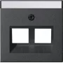 Gira System 55 Placa de cobertura para Modular Jack 30° 2 vias antracite 264028