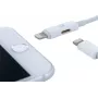 CYOO Cabo adaptador 2 em 1 Lightning para carregamento e áudio - Branco