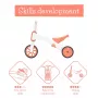 Chillafish Bunzi bicicleta de equilíbrio e triciclo 2 em 1, Flamingo Pink, 1-3 anos