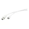 Cabo USB 2.0 Kramer C-USB/CB-10, ficha USB-C para ficha USB-B, 3 m, branco 96-02357110