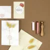Conjunto de cera de selar Artoz rosa claro, verde claro, cobre (137605-21)