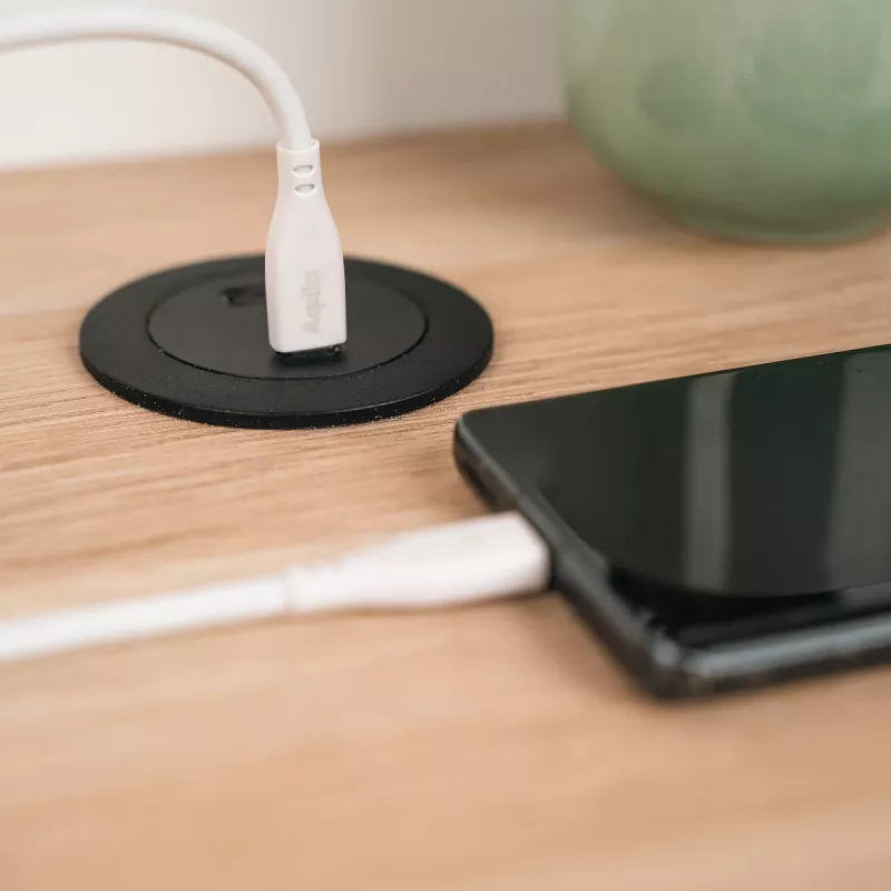 AQIILA Cablebird CS11 Cabo de Carregamento e Sincronização USB-C para USB-C 1m 60W Preto AQCBPBIC1SI812