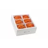 Wirewin SLIM-LS-K6A 1.0 OR 90 Cabo de rede Ethernet Slim Cat.6A U/FTP, 1,0 m, laranja, pack de 90