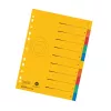 Herlitz separadores de cartão A4 formato grande, 10 divisórias, separadores em branco, 5 cores, cartão reciclado manila, pré-perfurado com impressão de organização 300006188