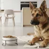 Ritzenhoff & Breker TARO Conjunto de tigelas 1,8L cinzento grés cerâmica 450484