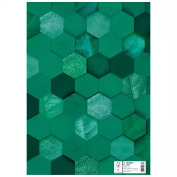 HERMA X capa para cadernos, cartão, DIN A4, verde-escuro, 10 unid. 20087