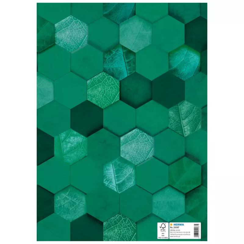 HERMA X capa para cadernos, cartão, DIN A4, verde-escuro, 10 unid. 20087