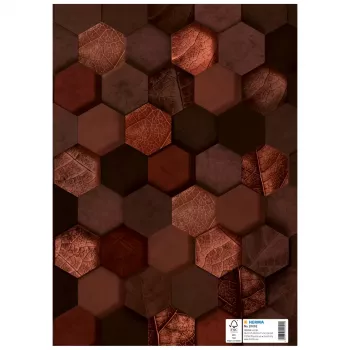 HERMA Capa de proteção X, cartão, DIN A4, castanho, com campo de identificação, 10 unid. (20092)