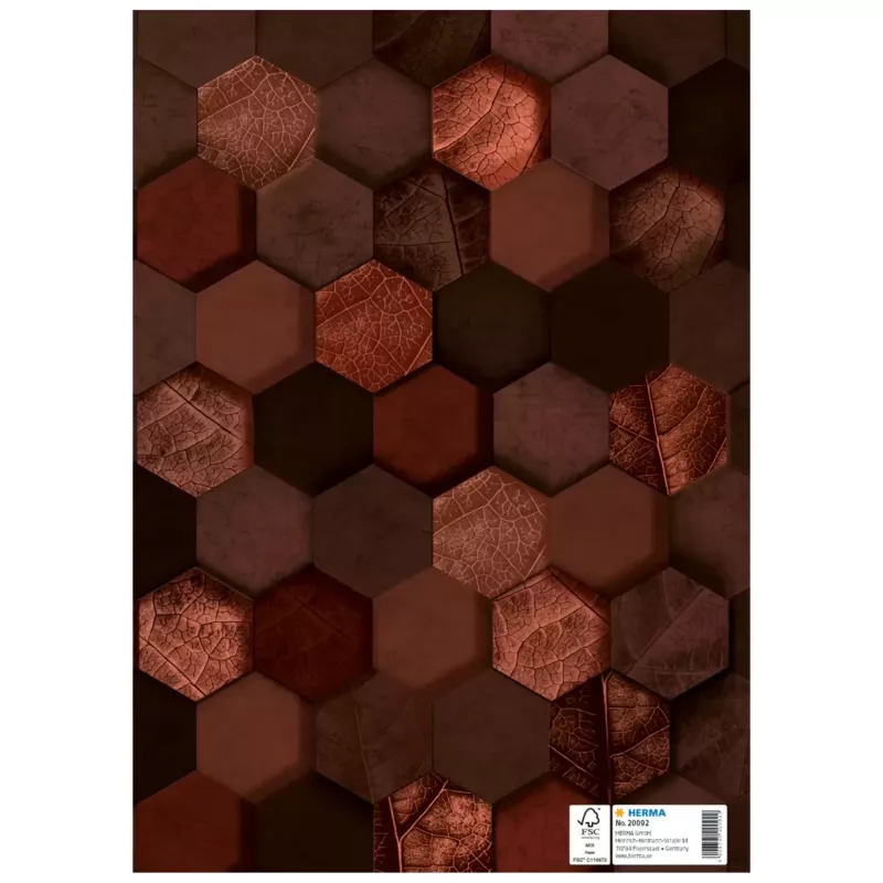 HERMA Capa de proteção X, cartão, DIN A4, castanho, com campo de identificação, 10 unid. (20092)