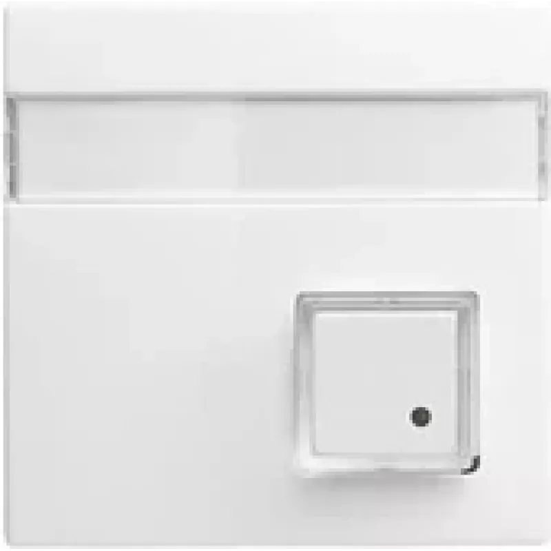 Busch-Jaeger placa central branco alpino para módulos UAE/TAE 1582-0-0397