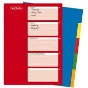 HERLITZ Separadores de plástico A4, 10 divisórias, em branco, cores sortidas, PP 0,12 mm, multifuração, com folha de rosto (10715415)