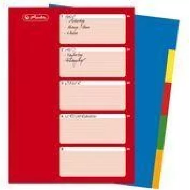 HERLITZ Separadores de plástico A4, 10 divisórias, em branco, cores sortidas, PP 0,12 mm, multifuração, com folha de rosto (10715415)