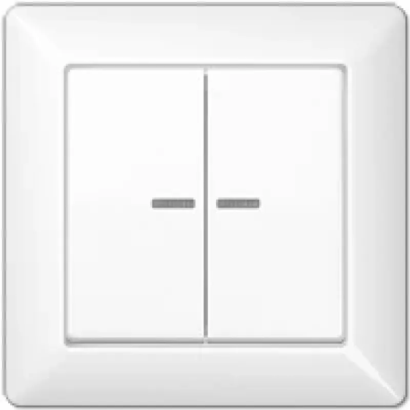 JUNG AS 590-5 KO5 WW Tecla com moldura integrada 2 módulos, com guia de luz, duroplástico, Série AS, branco alpino