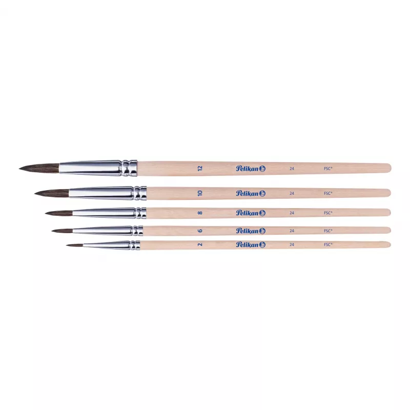 Pelikan Conjunto de pincéis de iniciação, conjunto de 5 peças com pincéis de pelo natural e cabos de madeira, em estojo transparente 300008264