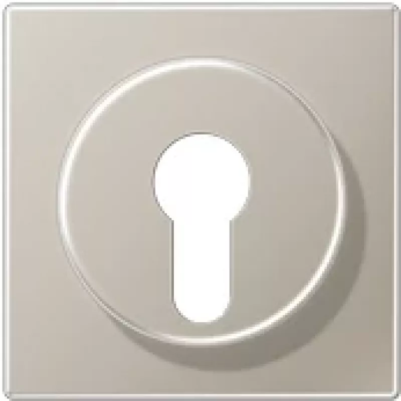 Tampa JUNG ES 2928 para interruptor de chave com proteção contra desmontagem, série LS, aço inoxidável
